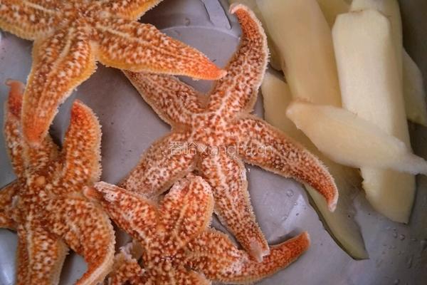 海星瘦肉煲海底椰的做法图解2