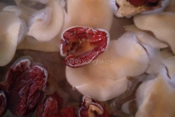 海星瘦肉煲海底椰的做法图解5