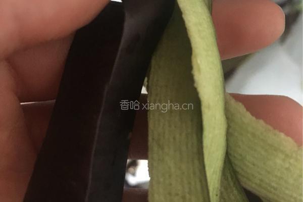 肉夹茄饼的做法图解1