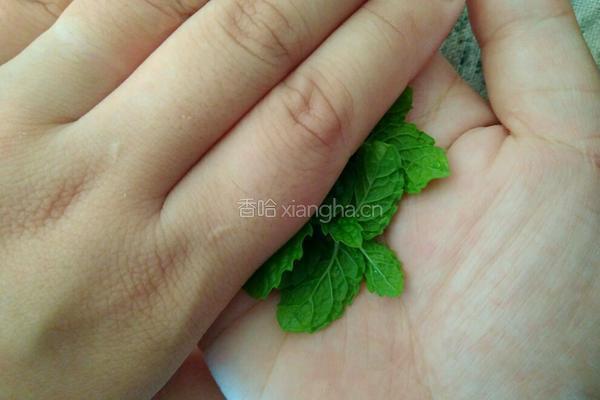 85℃的霸王葡萄柚(西柚绿茶饮)的做法图解9