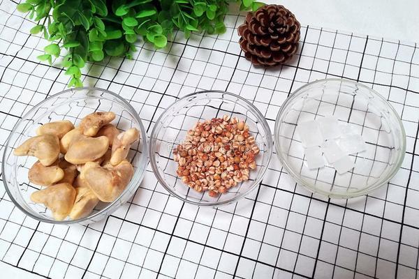 风车之菱角薏米粥的做法图解1