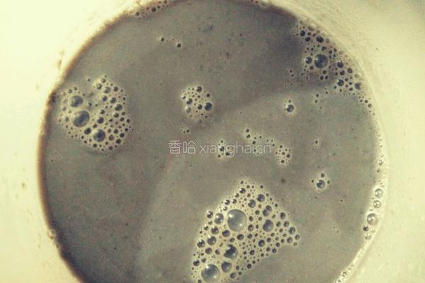 营养互补黑豆豆浆的做法图解3