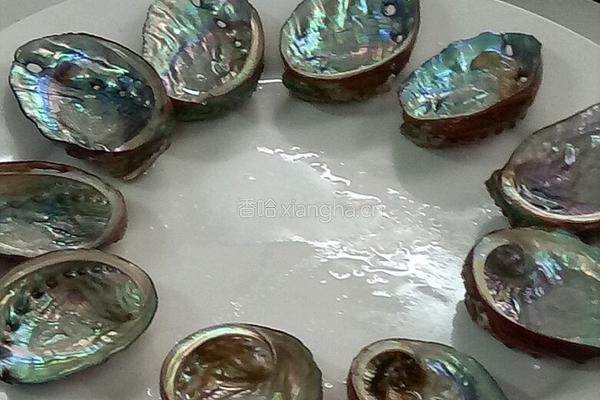 鲍鱼的前期处理的做法图解6
