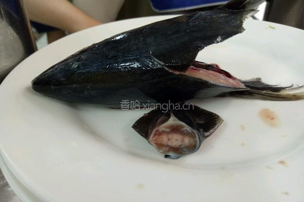 鲅鱼馅的制作的做法图解2