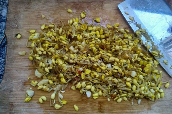 豆芽粉丝包的做法图解2