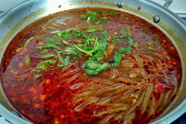肉末酸辣粉的做法图解8