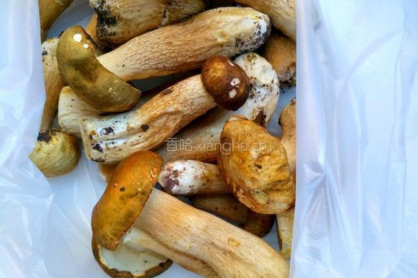 青椒炒野生菌的做法图解2