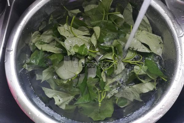 蒜蓉番薯叶的做法图解1