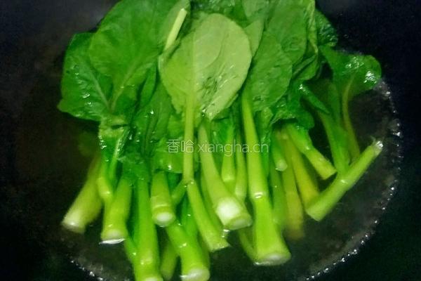 剁椒蒜蓉菜心的做法图解5