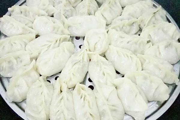 韭菜肉饺子的做法图解10
