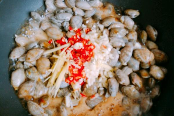 秘制花蛤的做法图解4