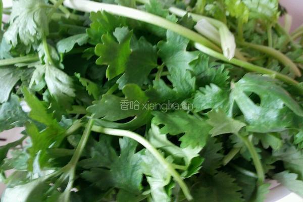 芫荽爆鳝丝的做法图解2