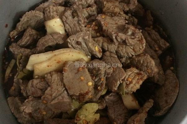 自制家庭牛肉干的做法图解13