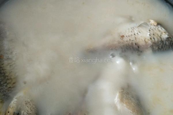 如何做出营养奶白的鲫鱼汤的做法图解6