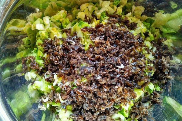 包菜虾皮猪肉饺子的做法图解5