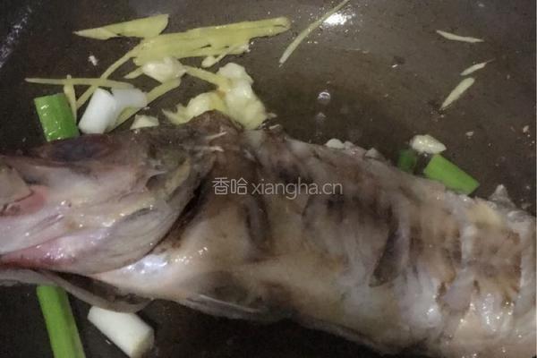 红烧太平洋红鱼的做法图解6