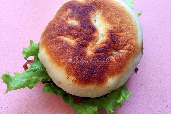 烤肉版肉夹馍的做法图解22