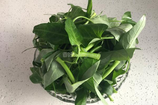 蒜蓉空心菜的做法图解1