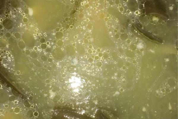 白芸豆海带筒骨汤的做法图解5