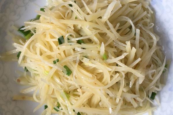 清炒土豆丝的做法图解6