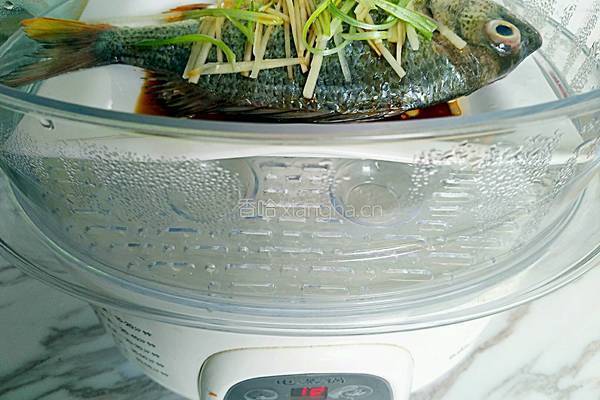 清蒸黄鳍鲷的做法图解8