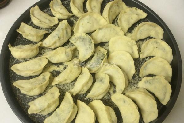 手工饺子之和面的做法图解8