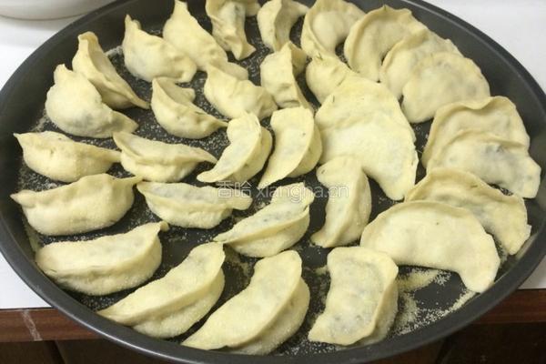 茴香饺子的做法图解8
