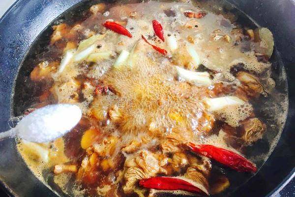红烧牛肉的做法图解16