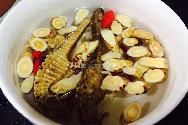 海马瘦肉汤的做法图解3