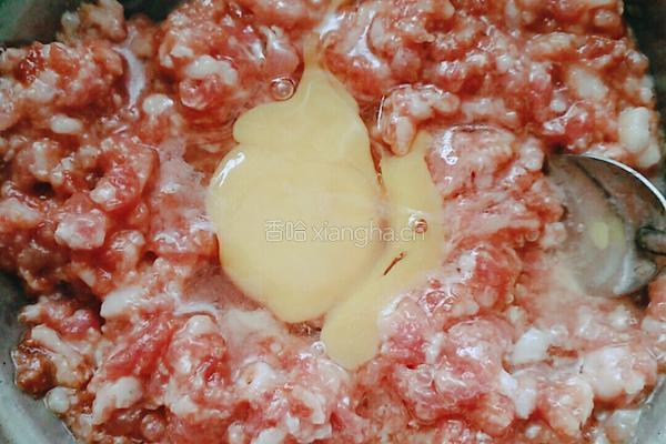 胡萝卜肉馅包子的做法图解4