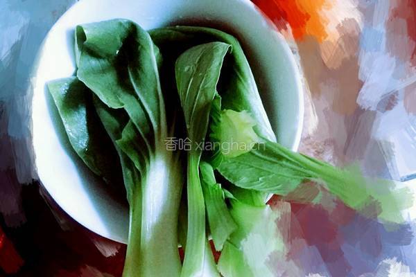 西红柿意大利面的做法图解3
