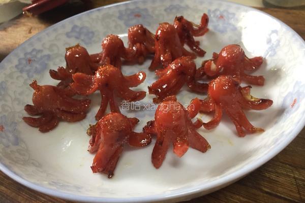红章鱼