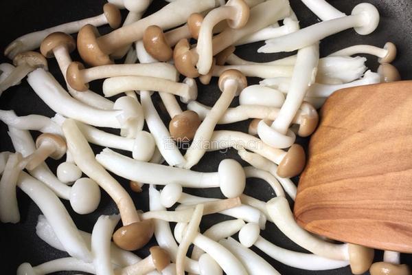 蘑菇牛排饭的做法图解4