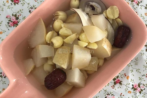 海底椰雪梨糖水的做法图解7