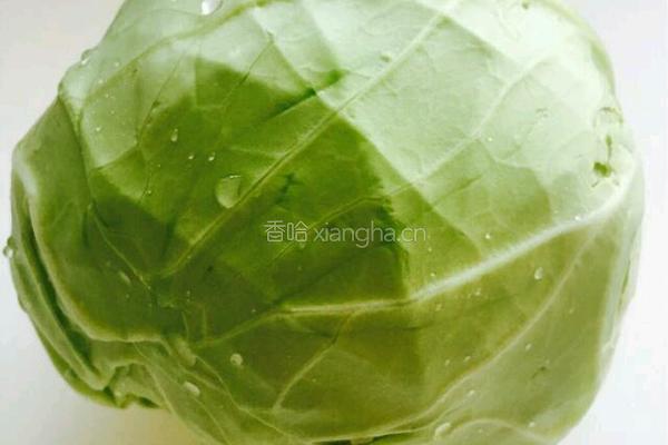 干煸卷心菜噢的做法图解1
