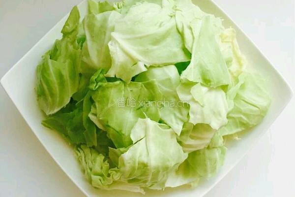 干煸卷心菜噢的做法图解2