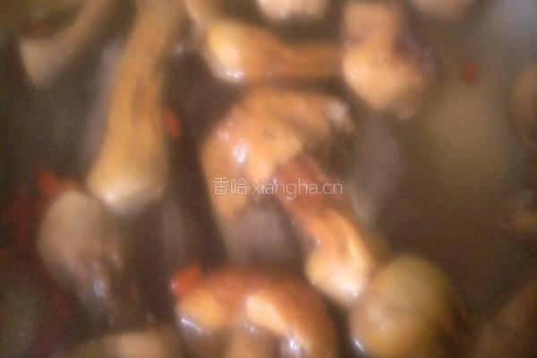 姬松茸白鸽汤的做法图解4