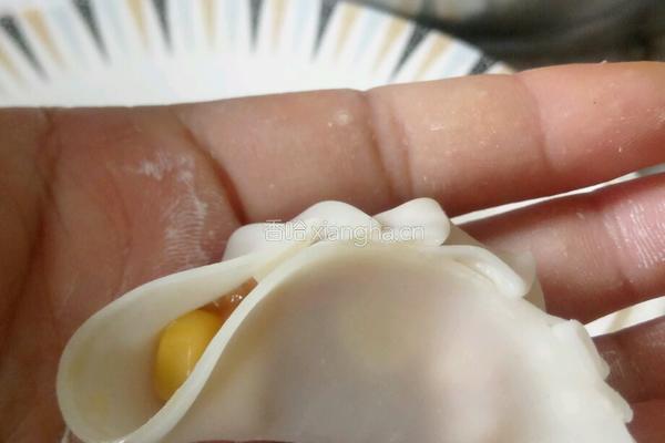胡萝卜玉米猪肉饺子的做法图解8