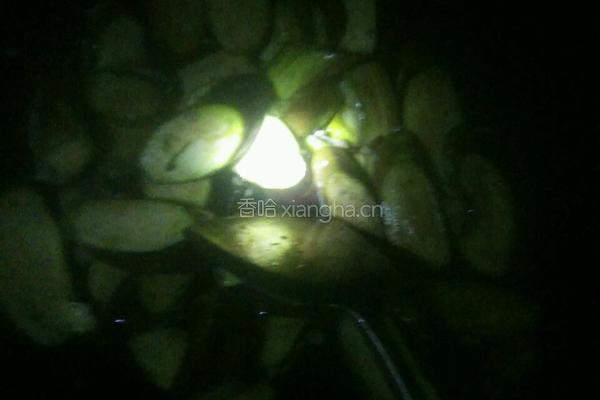 酿茄子辣椒的做法图解5