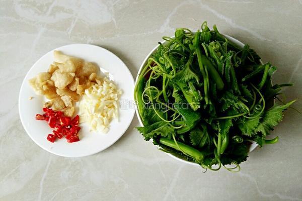 油渣炒南瓜藤的做法图解1