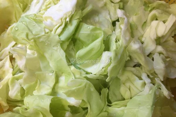 干锅手撕包菜的做法图解3
