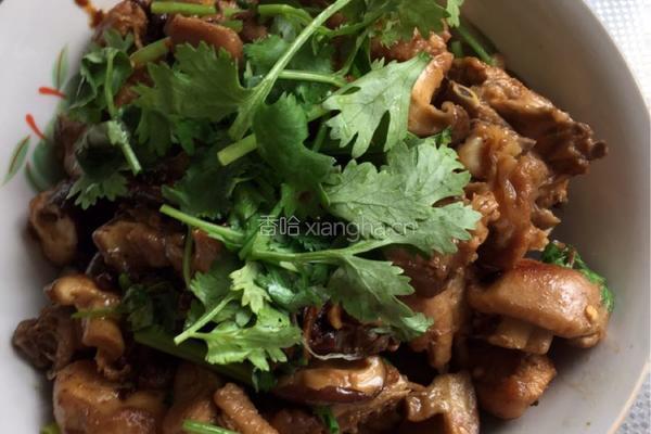 香菇烧鸡块的做法图解7