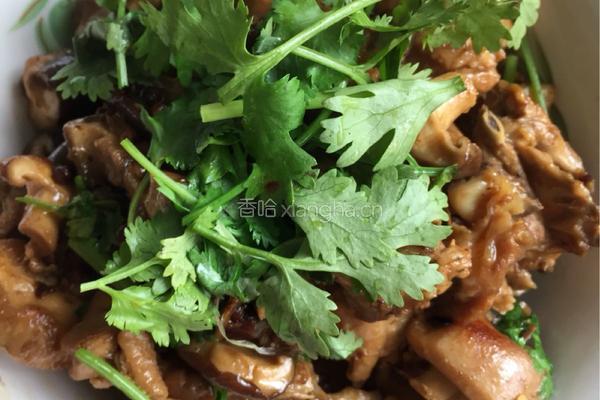 香菇烧鸡块的做法图解6