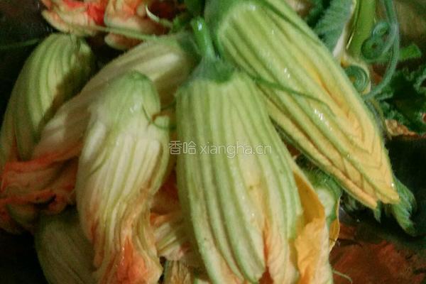 南瓜花藤小肉丸的做法图解2