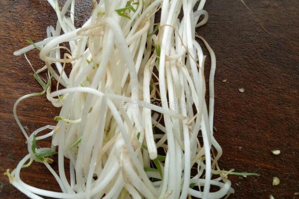 风味猪舌的做法图解5