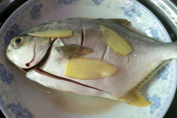 清蒸金鲳鱼的做法图解2