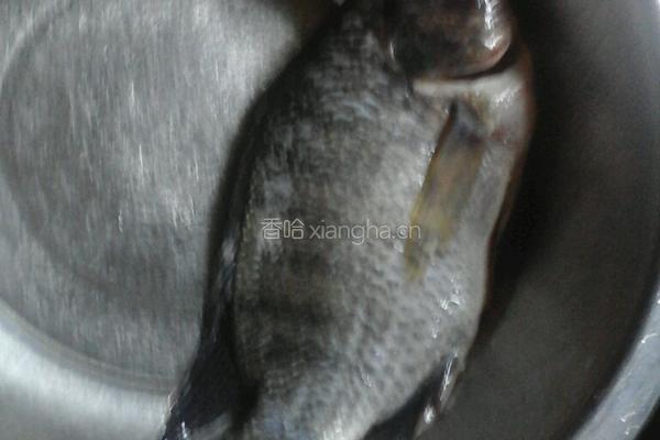 豆鼓鱼的做法图解1