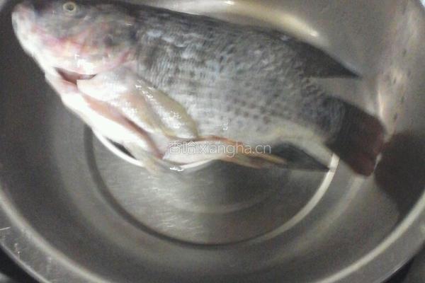 豆鼓鱼的做法图解3