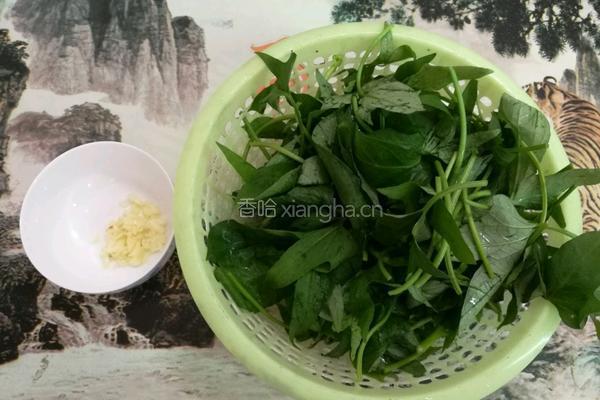 蒜蓉炒番薯叶的做法图解1