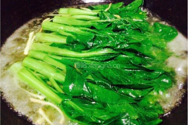 葱油菜心的做法图解2